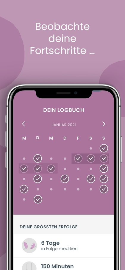 balloon-how-to-asset-4 Grafik mit einer Abbildung des Logbuchs in der Balloon App.