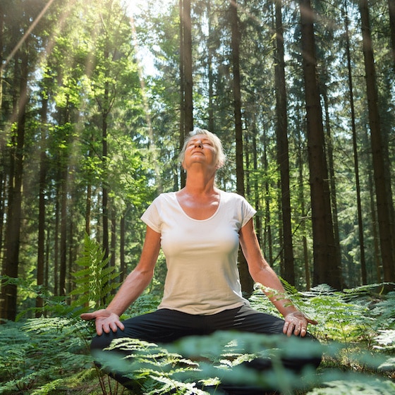 Yoga im Wald Eine Frau macht Yoga im Wald
