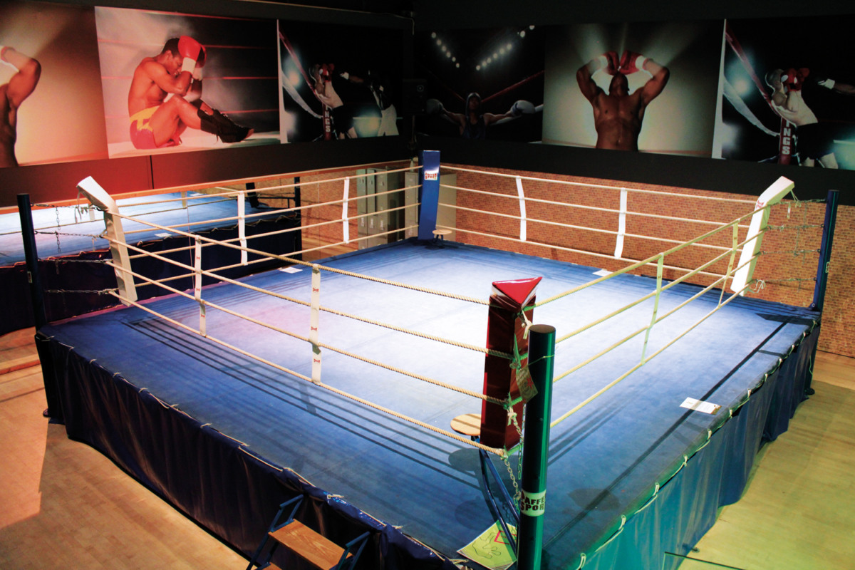 PUNCH Fitness Boxring PUNCH Fitness Boxring