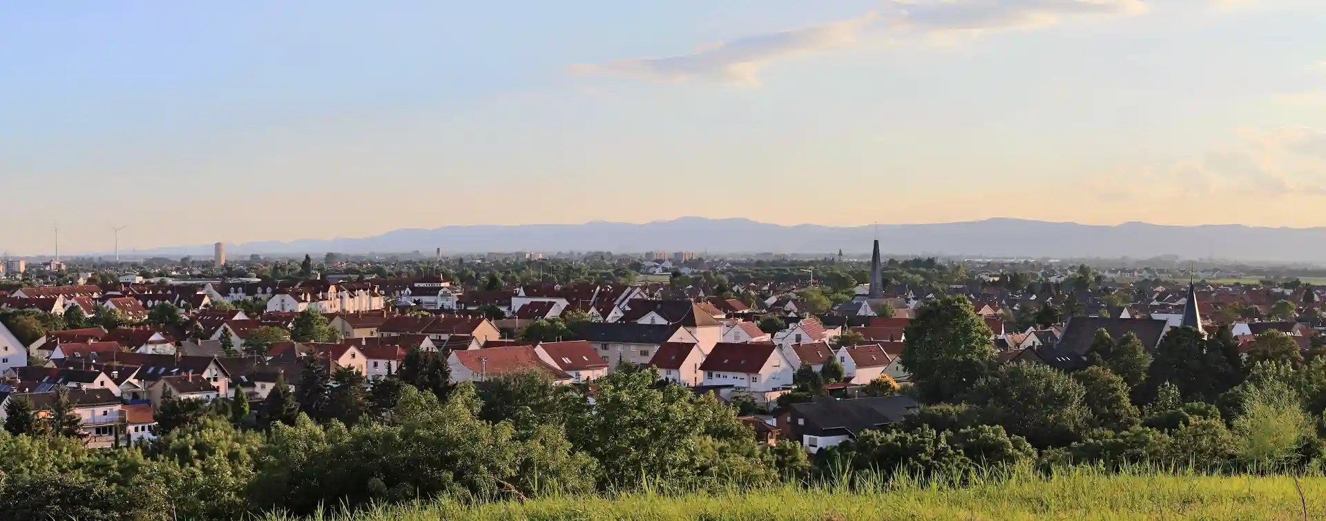 Panorama der Stadt Ludwigshafen